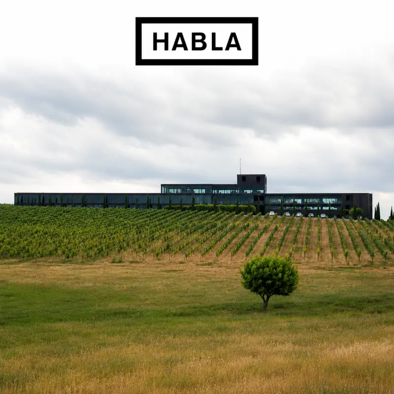 Bodegas Habla - Viñedos